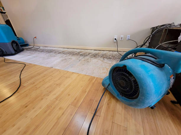 Professional Basement Flood Cleanup technician working in Hawk Point, MO